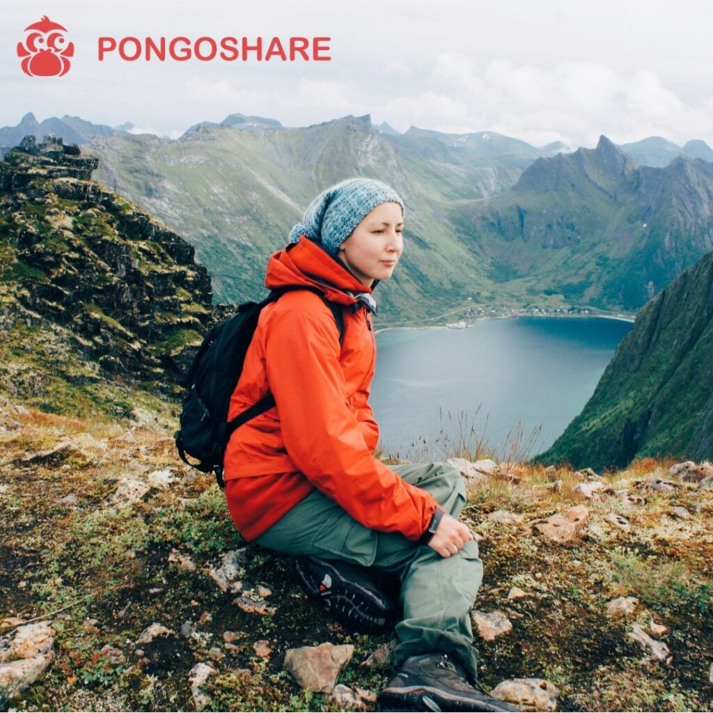 Pongoshare.com review