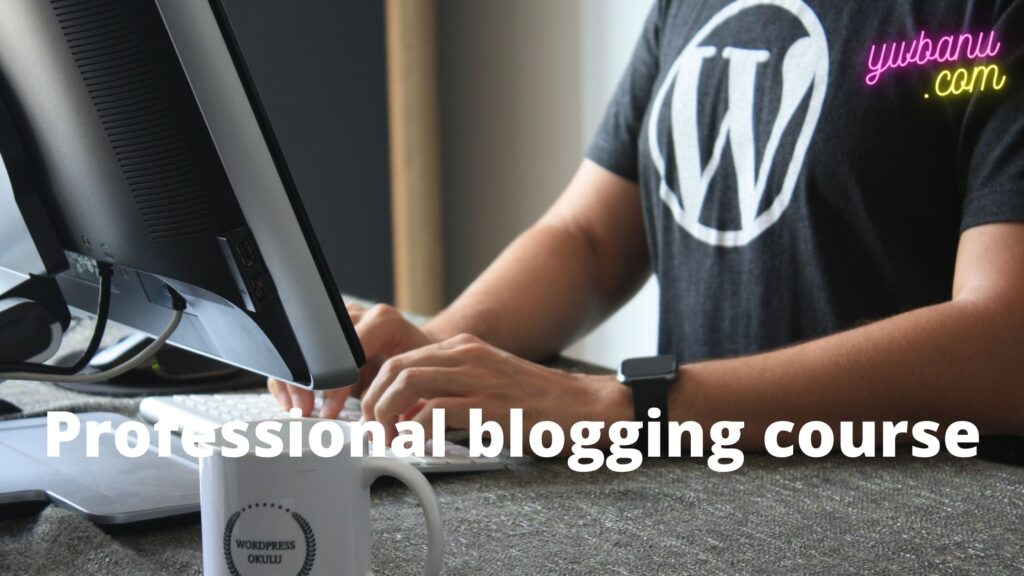 professional blogging course