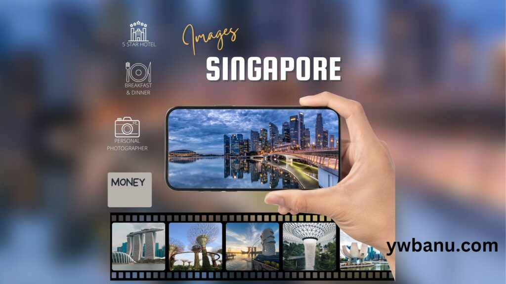 make money online in Singapore